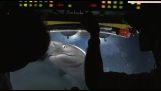 鯊魚攻擊潛艇