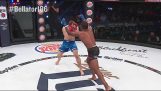 Brutal knockout in MMA fight
