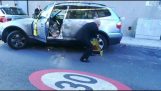 المعالج يزيل شرطة المرور الفرجار من سيارته