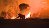 Άνδρας σώζει ένα κουνέλι από τις φλόγες
