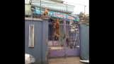 Σκύλος σκαρφαλώνει σε μια ψηλή αυλόπορτα
