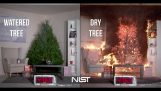 El peligro de incendios con un árbol de Navidad real