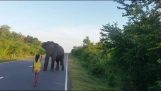 A little girl turns away an elephant