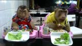 Dos monos en el restaurante