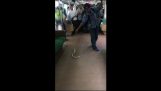 Επιβάτης τρένου σκοτώνει ένα φίδι με γυμνά χέρια