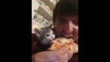 Едят пиццу вместе с котенком