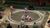 Knockout på ét sekund i sumo