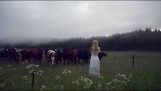 Švédská technika vykřiknout stádo krav