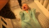 The baby gets excited with the cat