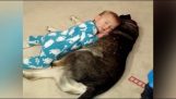 Το νυσταγμένο μωρό και ο σκύλος-μαξιλάρι