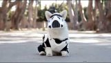 Dog with Stormtrooper outfit