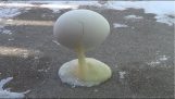 البيض في -32 ° C