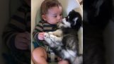 A baby and a husky puppy relax on a swing