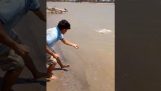 Fisherman catches a strange fish