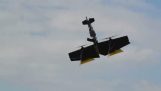 A الطائرات بدون طيار مع كلاشينكوف شنت, لمطاردة قوارب المخالفين