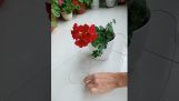 Smart technique to hang a flower pot
