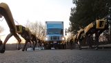 10 SpotMini robots pulling a truck
