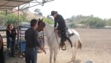 Hevonen auttaa ratsastaja