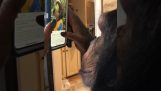 Šimpanz pomocí chytrého telefonu
