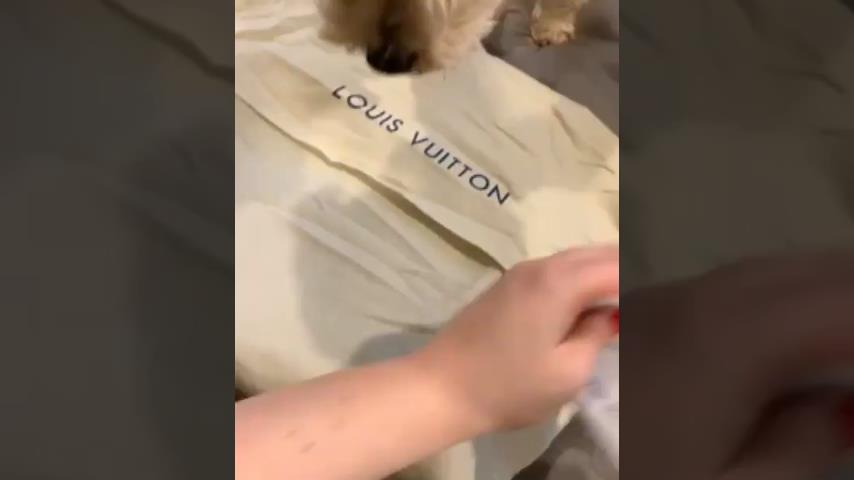 Perle venlige gave En kvinde åbner nye Louis Vuitton taske | VideoMan