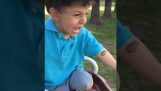 Маленький мальчик против лягушки