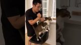 Μασάζ στις γάτες