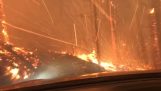 Passerar genom en skogsbrand med bil