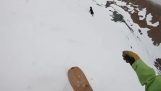 Собака робить сноуборд кульбіти на засніжений схилі