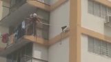 salvare pisica de la etajul 10 al unei clădiri
