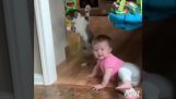 Bebek korkmuş kedi