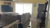 Woda osiąga się na pierwszym piętrze domu na Bahamach (Hurricane Dorian)