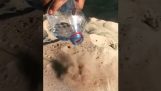 Ρίχνοντας νερό πάνω στην καυτή άμμο (Κατάρ)