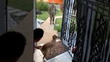 En hund møter sin sjef etter 8 måneder