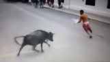 Άνθρωπος εναντίον ταύρου