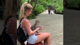 Woman pretending to have food for a monkey