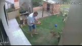 L'uomo cerca di pulire i roditori dal giardino