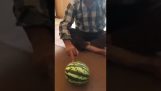 قطع البطيخ في النصف بإصبعه