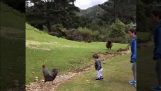 Mother saves baby from a ram