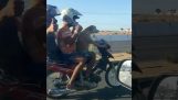 Pes nese dva lidé s motorce