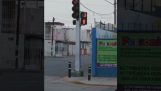 The funniest pedestrian traffic light