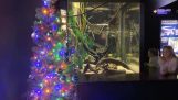 Elektromos angolna megvilágítja egy karácsonyfa