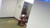Man sparar en hund framför en hiss