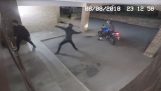 Burglar colpisce il complice di un mattone (Londra)