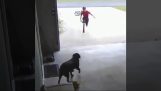 Komşunun köpeğini hızlı bir kucaklama