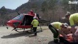 直升机空投食物为饥饿的考拉和袋鼠