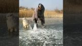 buz üzerinde balık tutma (Moğolistan)