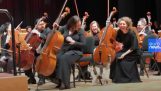 Kočka visí v symfonickém orchestru