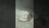 Hasiči probudí muže po požáru v jeho bytě
