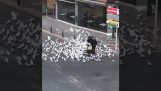 Žena obklopená holubov v prázdnych uliciach Španielska