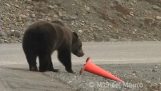 Медвед исправи куп упозорења
